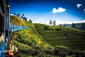 Hiking view in Sri Lanka